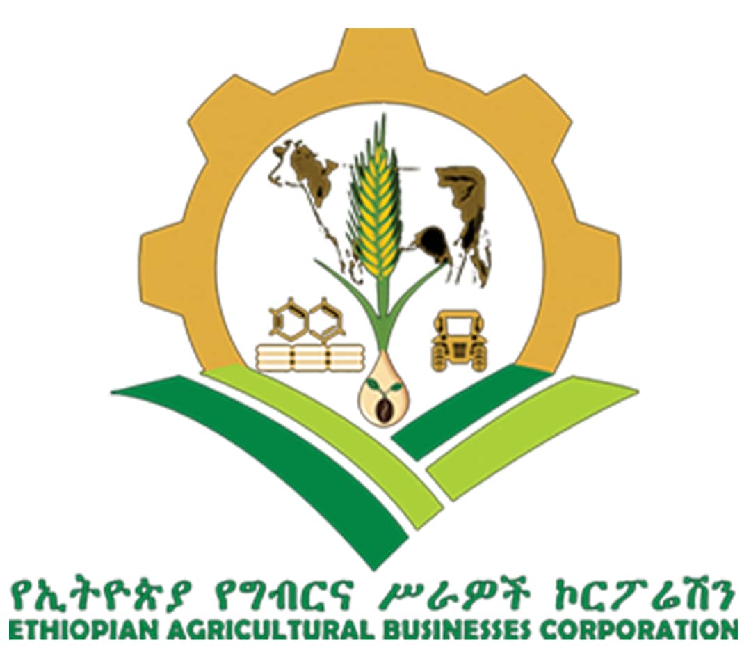 SOE Logo